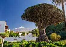 Kanári-szigetek - Budapest, Repülő