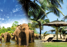 Srí Lanka körút + üdülés a Goldi Sands Hotel-ben