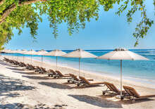 Mauritius / The Westin Turtle Bay Resort &amp; SPA*****