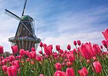 BENELUX NAGYKÖRUTAZÁS - Brüsszel, Antwerpen, Amszterdam. Hága, Delft, Zaanse Schans skanzen, Keukenhof vagy Volendam - Budapest, Busz