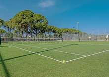 APOLLO BEACH - BUD BUD, Repülő