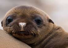 ECUADOR, AMAZÓNIA ÉS A GALÁPAGOS-SZIGETEK - Budapest BUD, Egyéni