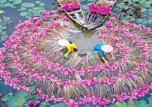 THAIFÖLD, VIETNÁM, KAMBODZSA ÉS LAOSZ - INDOKÍNA LEGSZEBB TÁJAIN - Budapest BUD, Egyéni