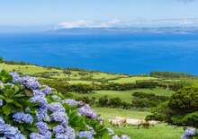 AZORI-SZIGETEK – SAO MIGUEL ÉS TERCEIRA - Bécs VIE, Egyéni