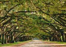 USA - A TITOKZATOS DÉL - Budapest BUD, Egyéni