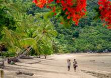 MADAGASZKÁR FELFEDEZÉSE - Budapest BUD, Egyéni