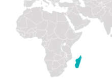 MADAGASZKÁR FELFEDEZÉSE - Budapest BUD, Egyéni