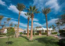 SHAMS SAFAGA ABU SOMA - BUD BUD, Repülő