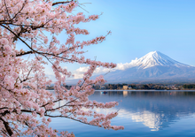 TOKIÓ ÉS SZÖUL VIRÁGZÓ TAVASZA - Hanami és Beotkkot - A cseresznyevirágzás legszebb pillanatai Kelet-Ázsiában - Budapest, Repülő