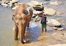Nagykörút Srí Lankán, pótcsoport - Budapest, Repülő