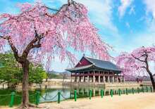 Dél-Korea - 4*-os szállodák -  BUD, Repülő