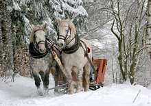 ERDÉLYI SZERETET SZILVESZTERKOR - 1000 éves határ, Csíksomlyó és a Gyimes wellness pihenéssel | Csiki sörgyár: sör és sült csülök - Budapest, Busz