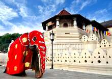 Nagykörút Sri Lankán -  BUD, Repülő