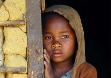 Madagaszkár, a nyolcadik kontinens -  BUD, Repülő