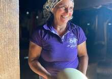 Máramaros - Az eltűnő világ - Budapest, Busz