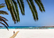 BARCELO FUERTEVENTURA MAR -  VIE, Repülő