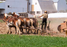 USA Keleti-part és a Niagara-vízesés - Budapest, Repülő