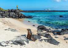 Ecuador és a Galápagos-szigetek mesés világa - kiscsoportos körutazás - Budapest Budapest, Repülő