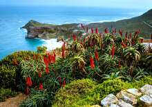 Dél-Afrikai körutazás, Fokföldi borral megkoronázva -  BUD, Repülő