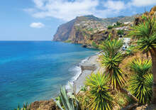 Madeira mesés kertjei - Budapest, Repülő