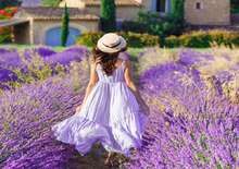 PROVENCE SZÍNEI - Budapest BUD, Repülő