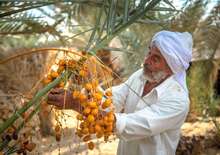 Siwa, a lélek oázisa -  BUD, Repülő
