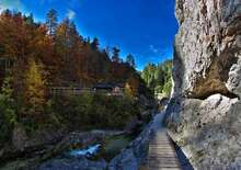 Az Ötscher-szurdok, Ausztria Grand Canyonja - Budapest, Busz